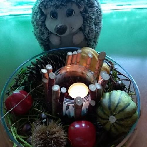 Igel