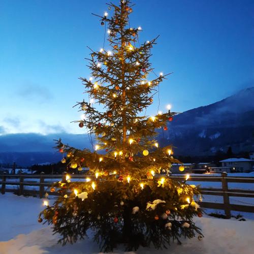 Weihnachtsbaum Schützengilde