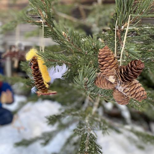 Christbaumschmuck Natur