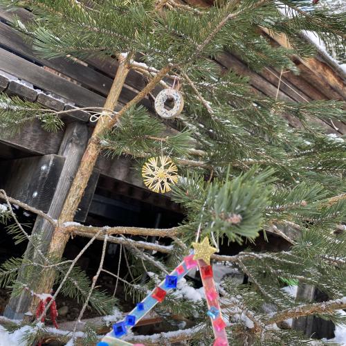 Christbaumschmuck Natur 3