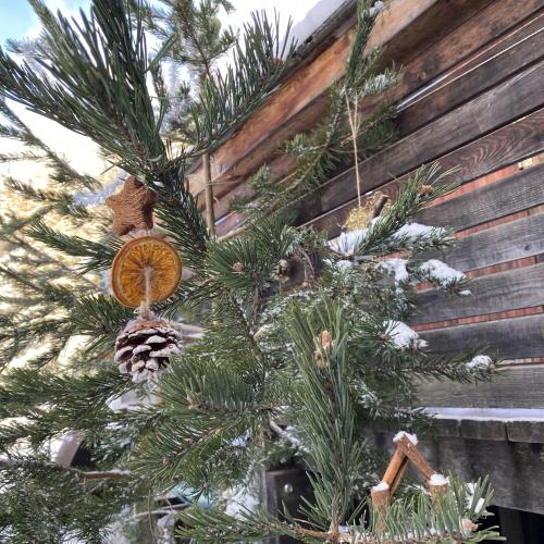 Christbaumschmuck Natur 2