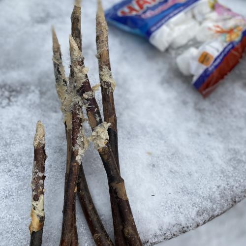 Grillstöcke