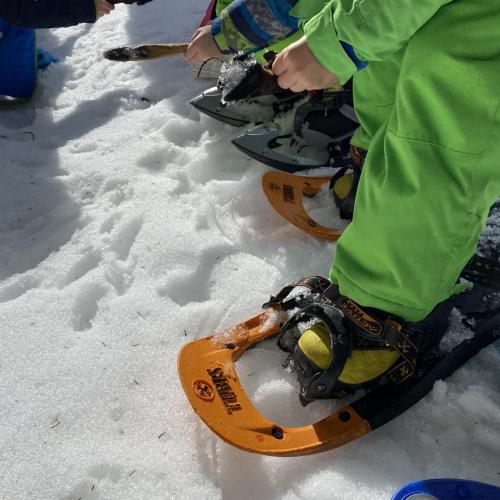 Schneeschuhwandern