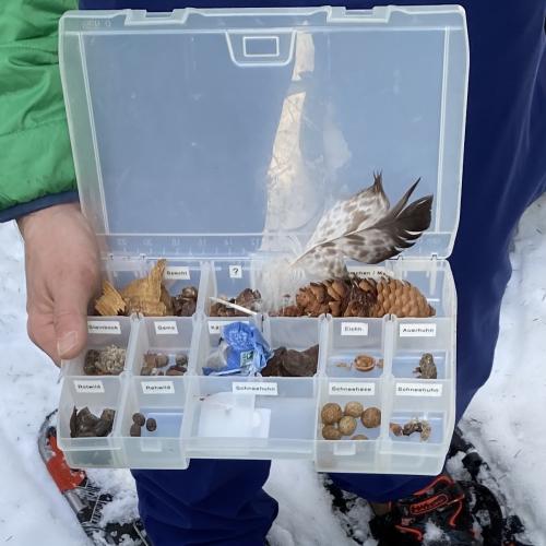 Schneeschuhwanderung 2