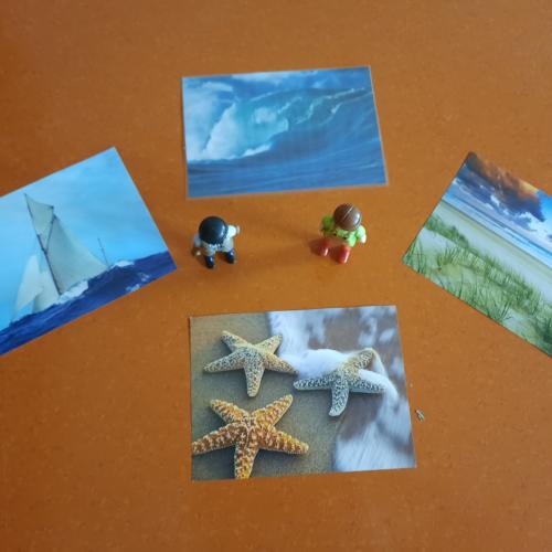 Meer