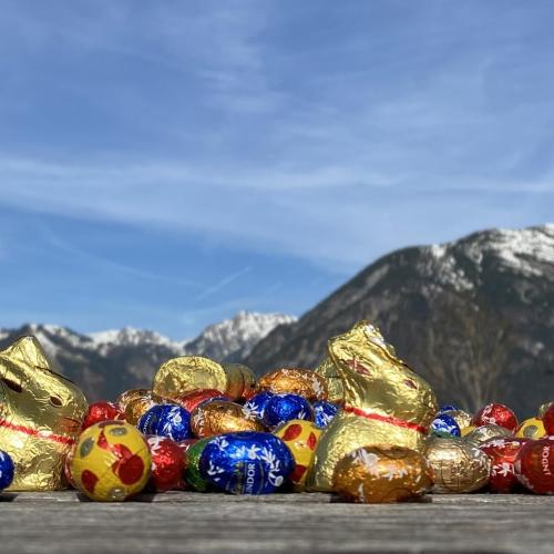 Osterschoki