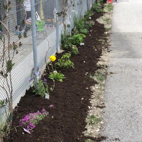 Blumen TdA
