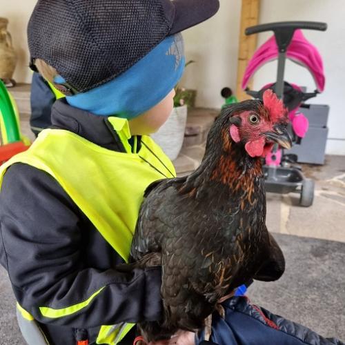 Huhn2