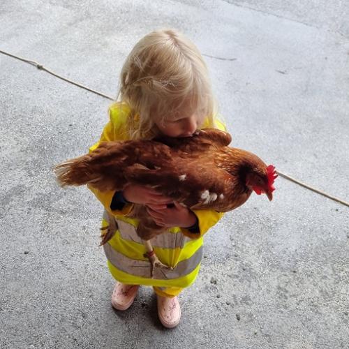 Huhn