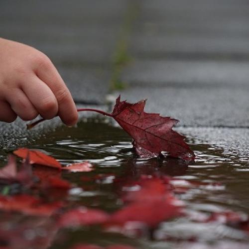 Herbst
