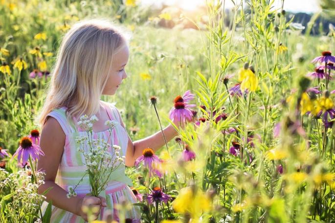 Raus in die Natur /Blumenwiese