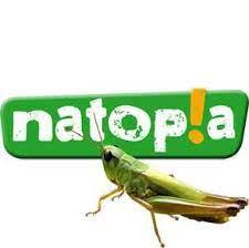 © Nataopia Natopia