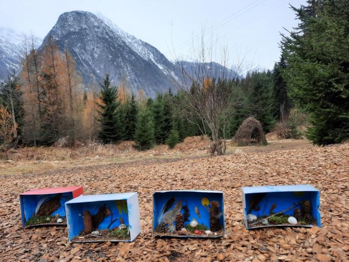 Naturpark Schaukasten