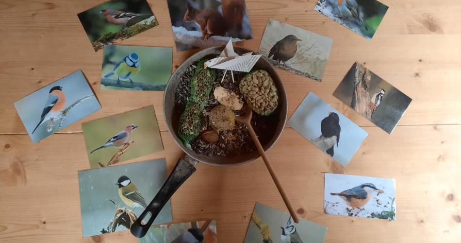 Vogelfütterung