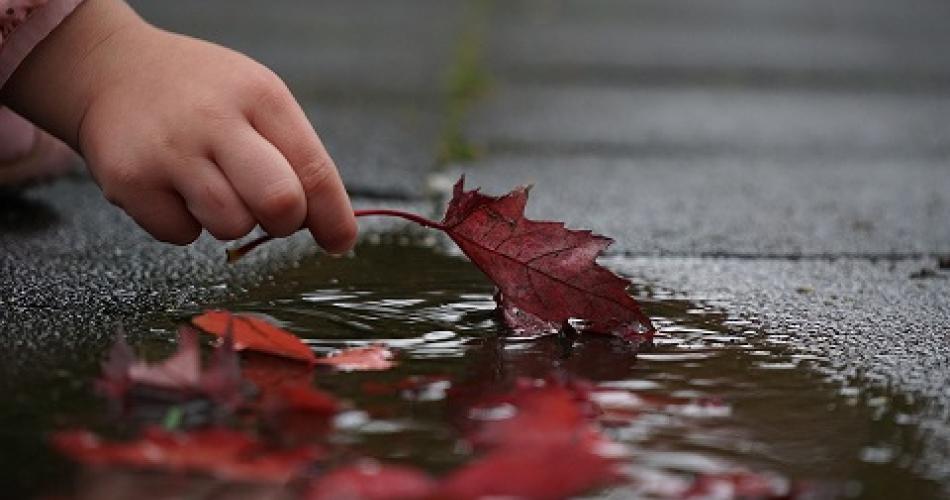 Herbst