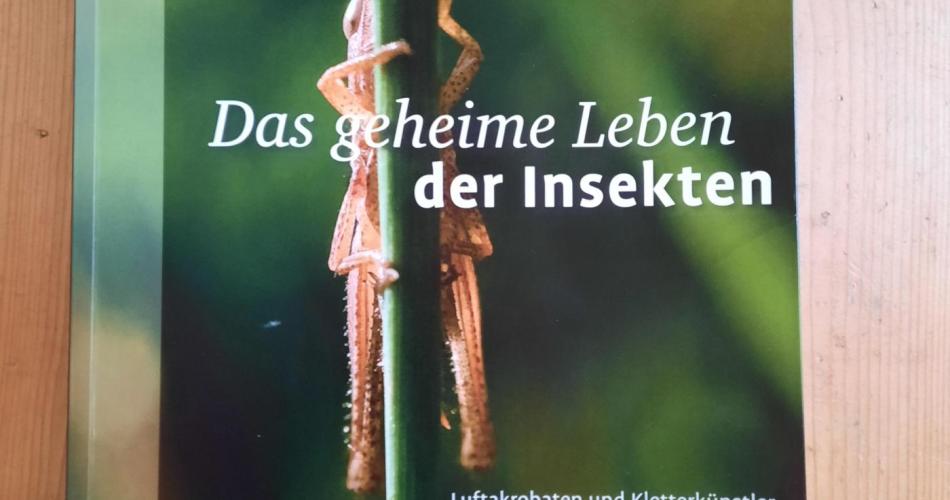 Insektenbuch